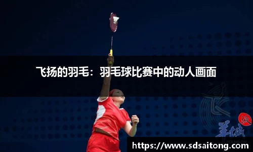 飞扬的羽毛：羽毛球比赛中的动人画面